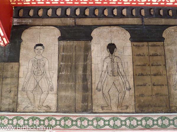 История Массажа в картинках - MASSAGE-VRN.RU